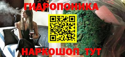 мдпв Славгород
