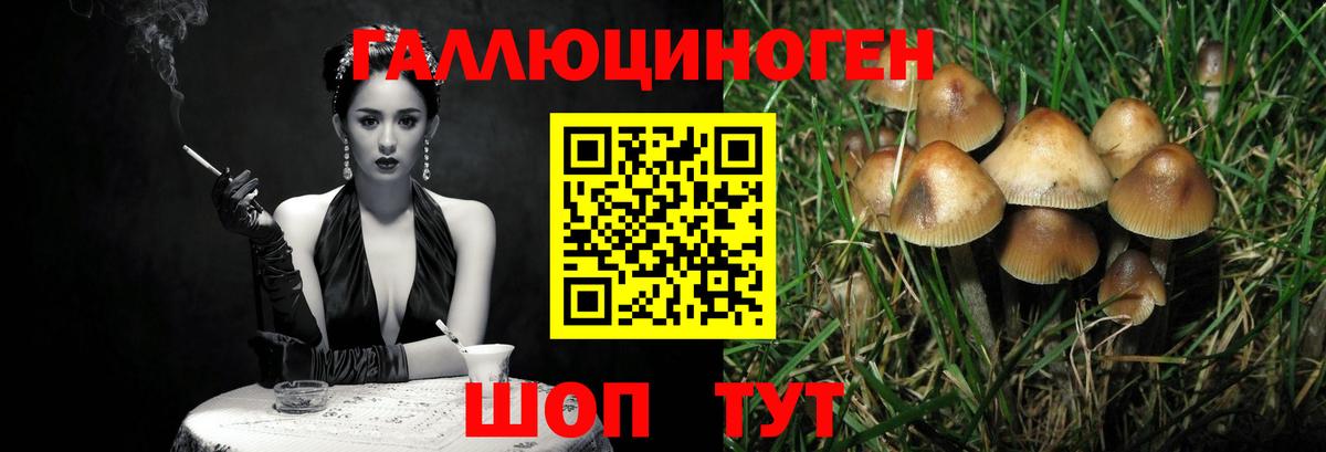 Галлюциногенные грибы Cubensis Мурино